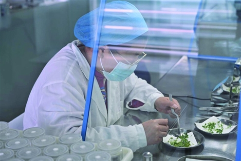 国家级农林科技孵化器的科研人员正在进行果苗筛选工作